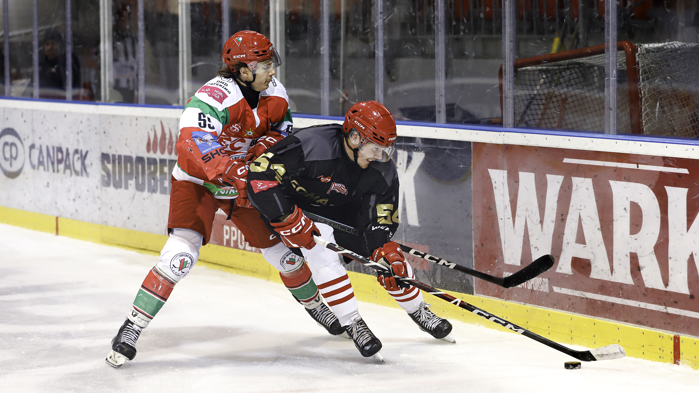 Comarch Cracovia - EC Będzin Zagłębie Sosnowiec, niedziela, g. 18:00 [Zapowiedź]