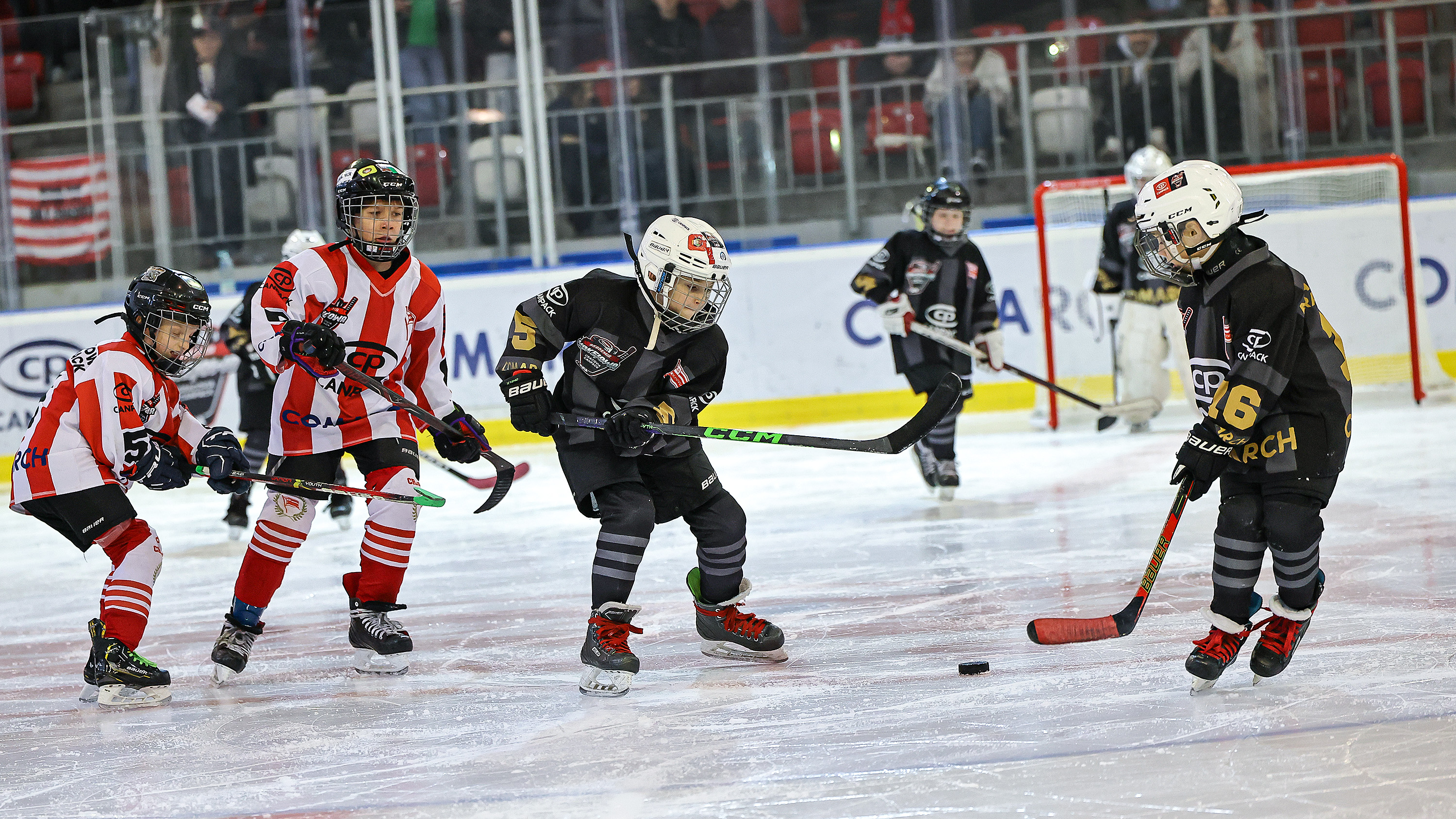 Minihokej podczas spotkań Play-Off 