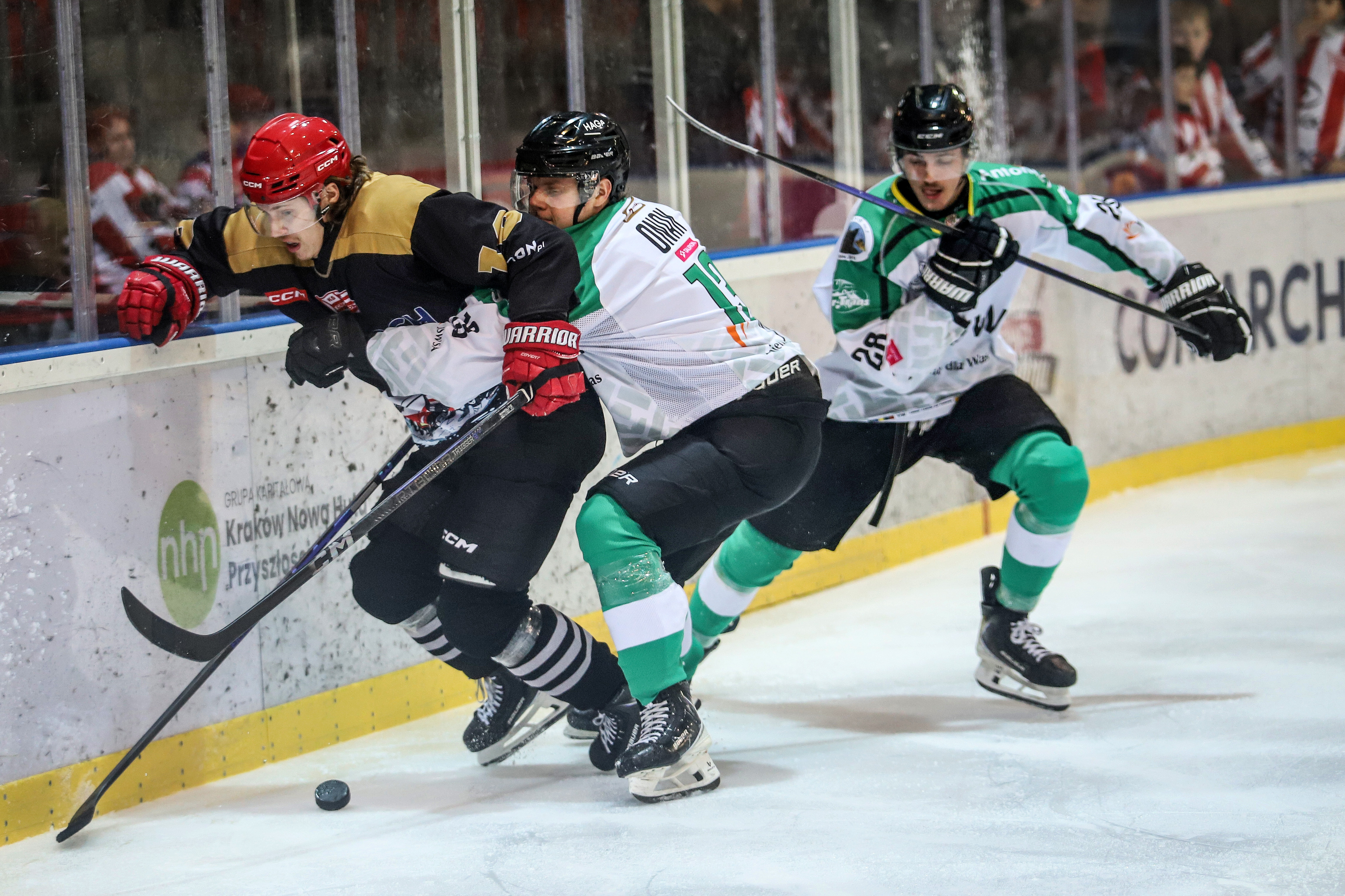 Zwycięski Teddy Bear Toss