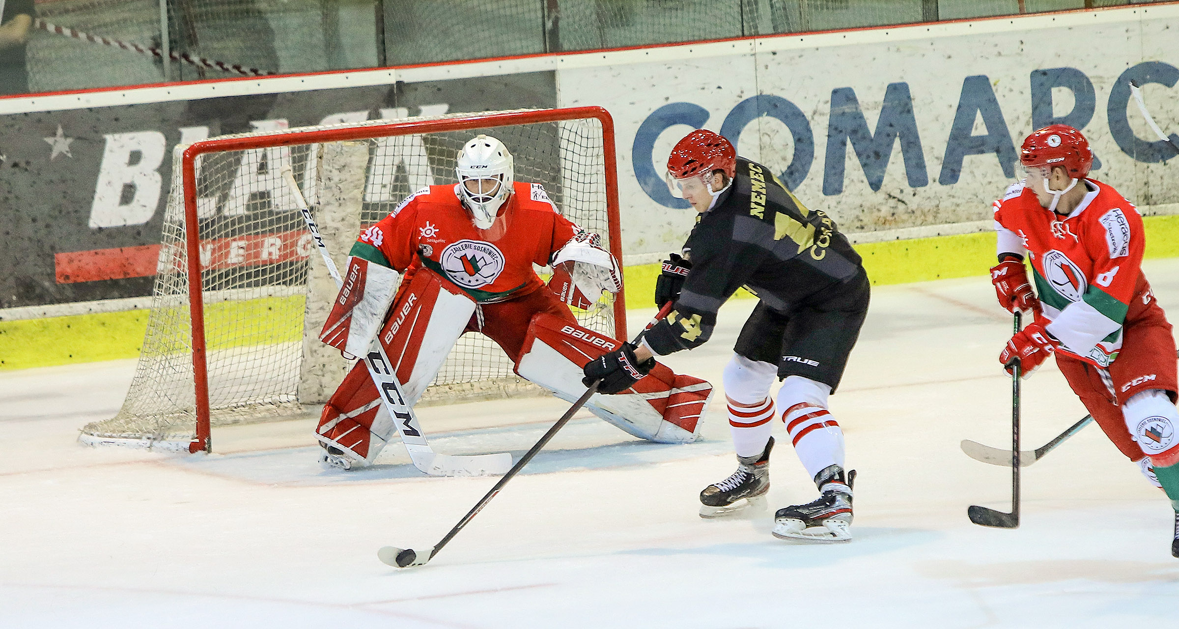 PHL: Comarch Cracovia – Zagłębie Sosnowiec [RELACJA LIVE, TRANSMISJA]