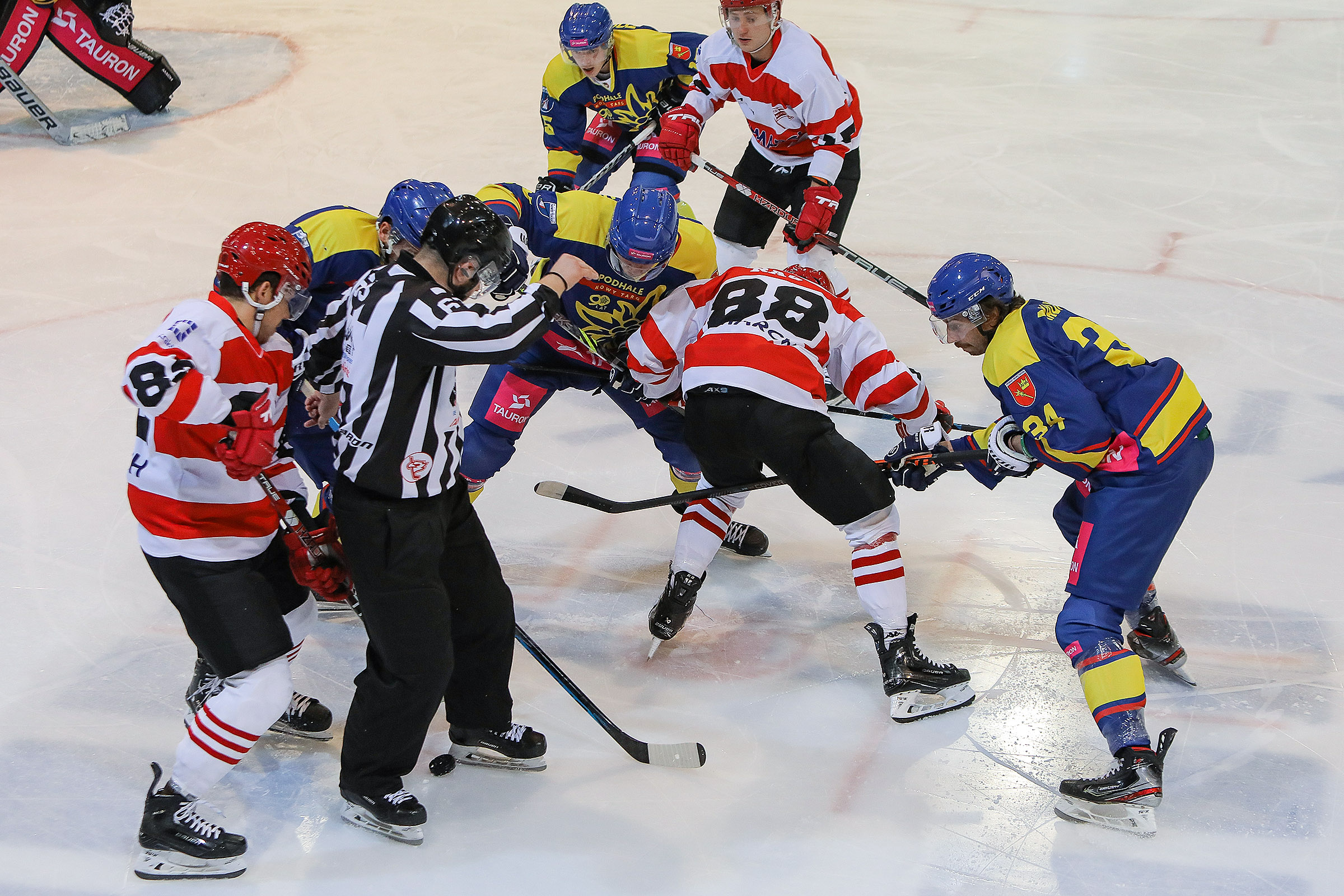 PHL: Tauron Podhale Nowy Targ – Comarch Cracovia [RELACJA LIVE, TRANSMISJA]