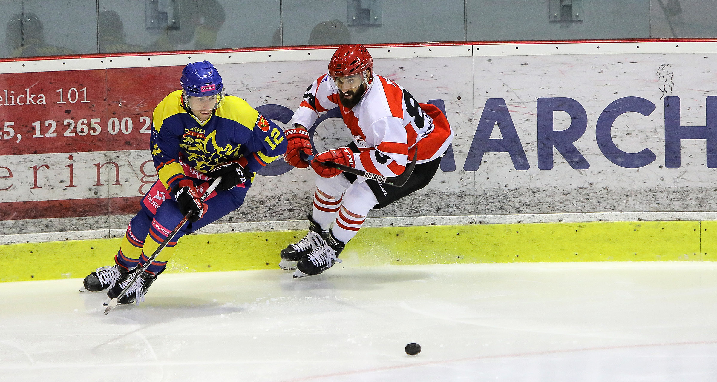 PHL: Comarch Cracovia – Tauron Podhale Nowy Targ, godz. 18:30