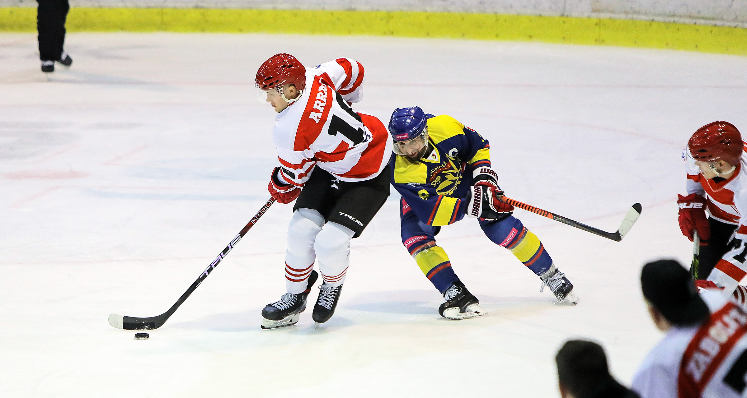PHL: Comarch Cracovia - Tauron Podhale Nowy Targ [RELACJA LIVE, TRANSMISJA]