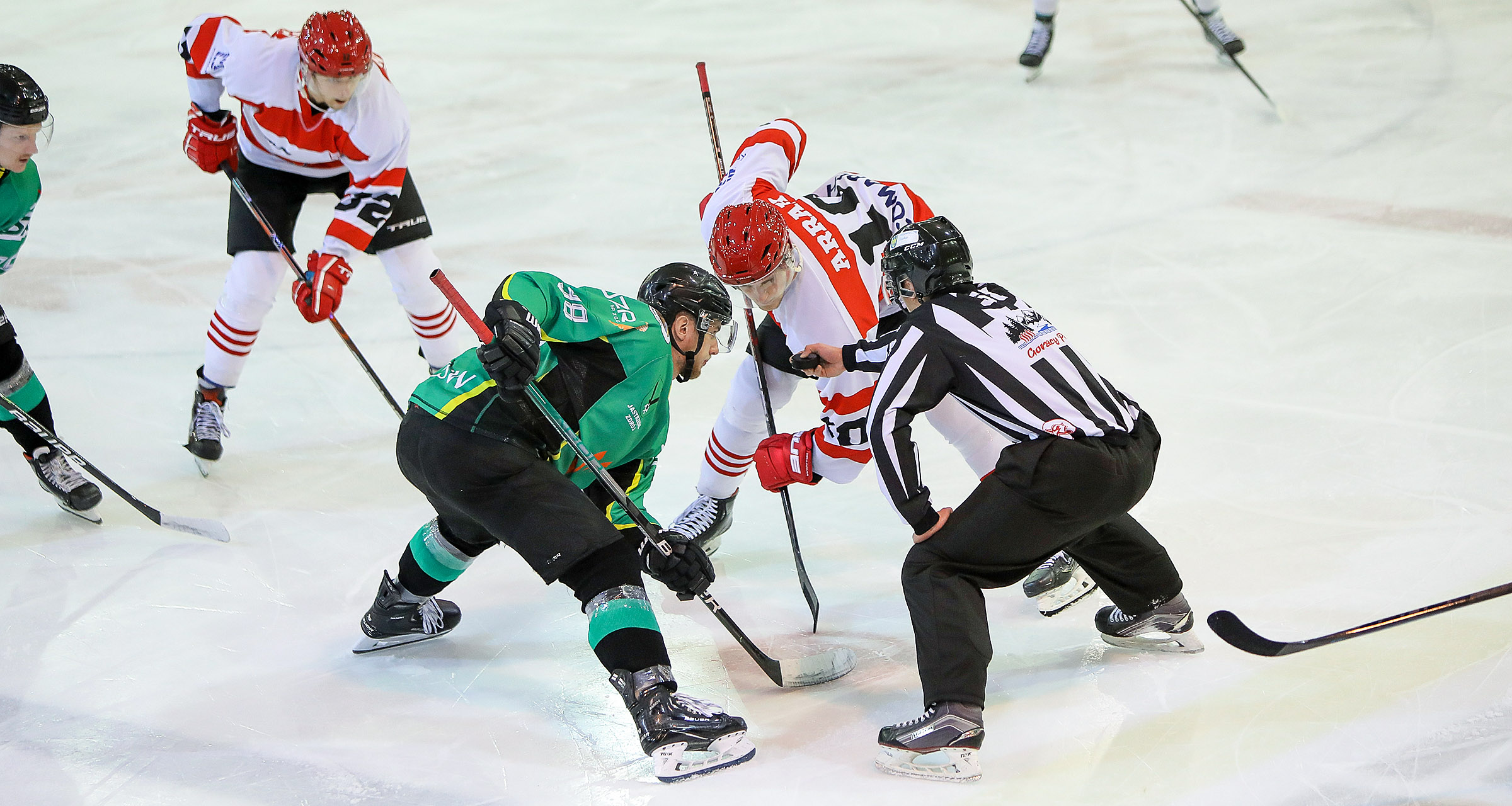 PHL: JKH GKS Jastrzębie – Comarch Cracovia, godz. 17:00