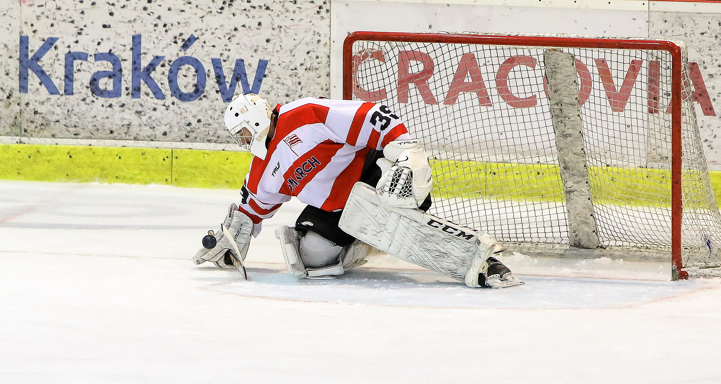 PHL: Comarch Cracovia - Marma Ciarko STS Sanok [RELACJA LIVE, TRANSMISJA]
