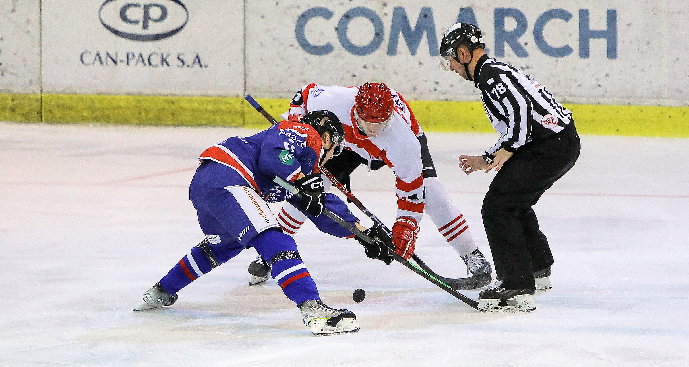 PHL: Comarch Cracovia – Marma Ciarko STS Sanok, godz. 18:30 [ZAPOWIEDŹ]