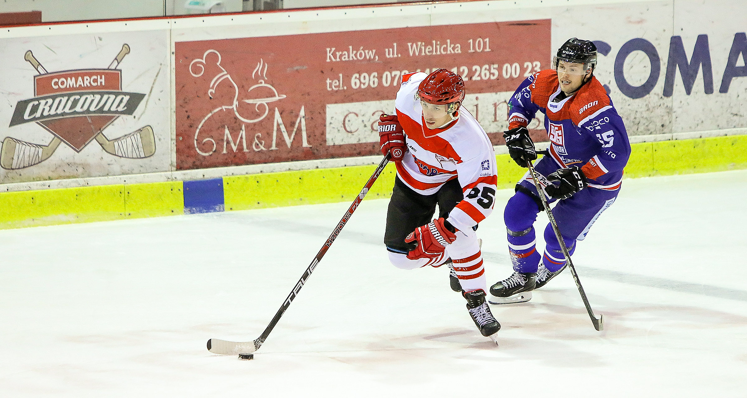PHL: Comarch Cracovia - Marma Ciarko STS Sanok [RELACJA LIVE, TRANSMISJA]