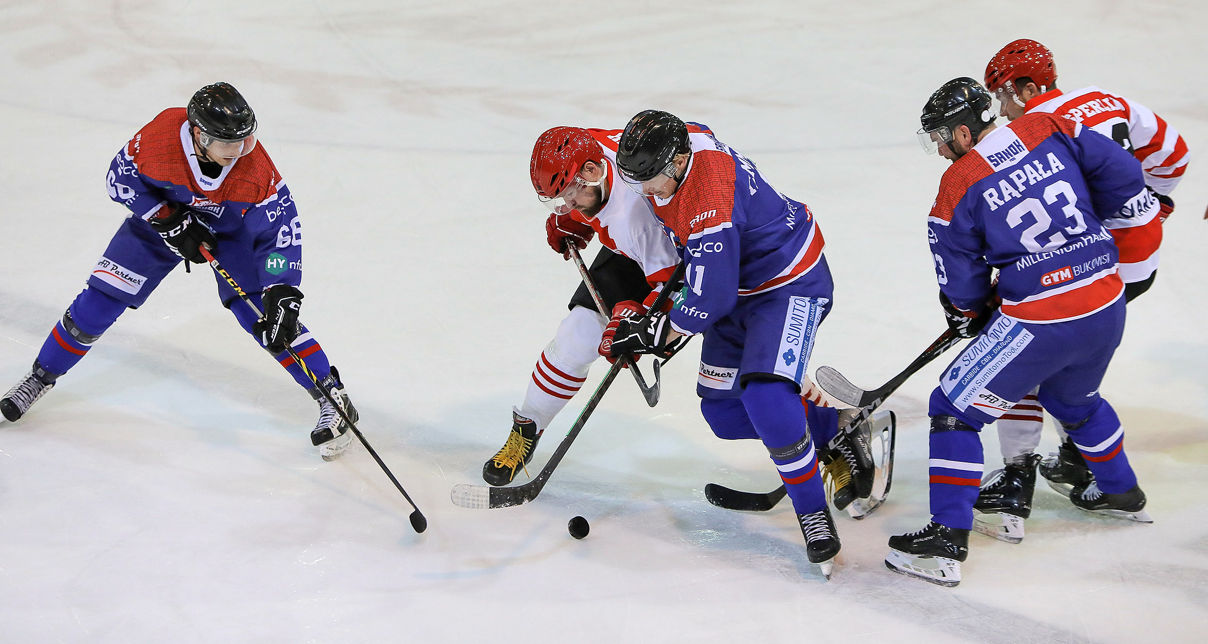 THL: Comarch Cracovia – Marma Ciarko STS Sanok, wtorek, godz. 18:30 [ZAPOWIEDŹ]