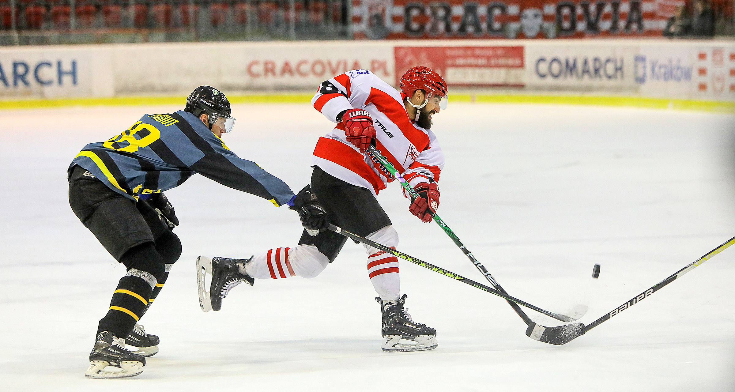 PHL: Comarch Cracovia - GKS Katowice [GALERIA]