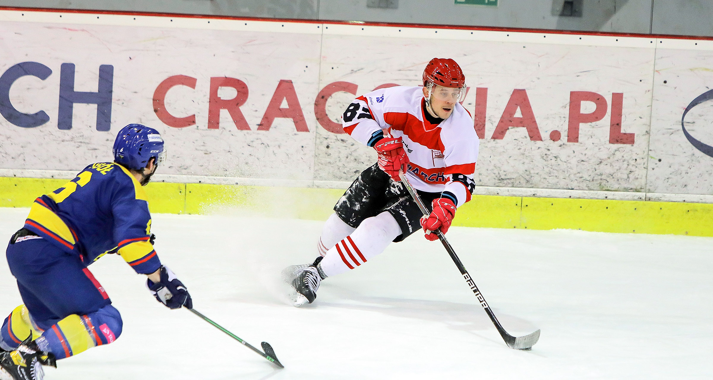 THL: Comarch Cracovia – PZU Podhale Nowy Targ, piątek, godz. 18:30 [ZAPOWIEDŹ]