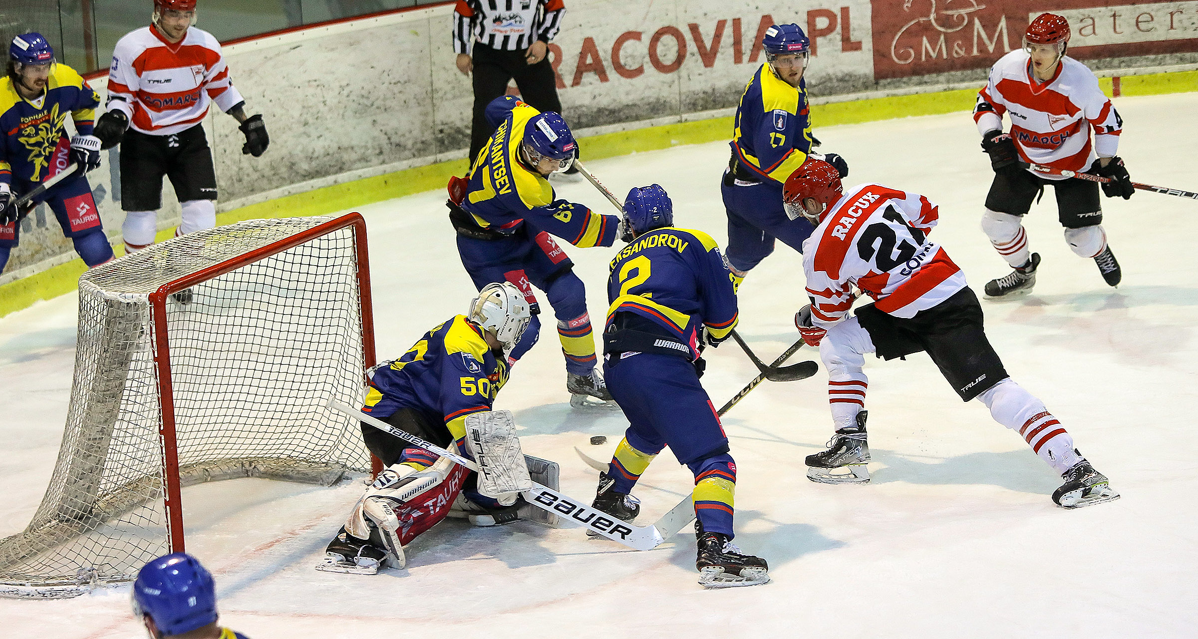 PHL: Comarch Cracovia - Tauron Podhale Nowy Targ [SKRÓT]