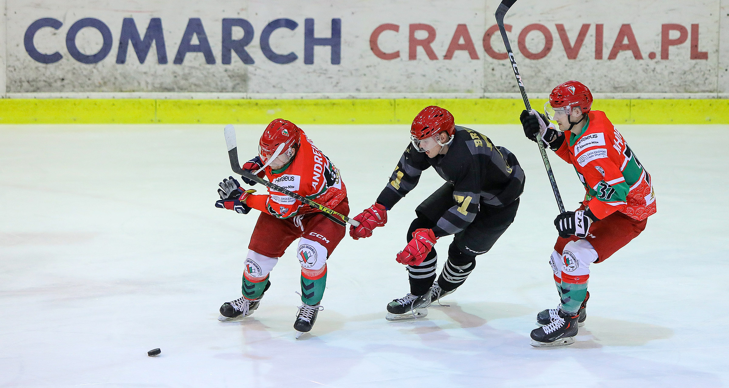 1/4 play-off (4. mecz): Zagłębie Sosnowiec - Comarch Cracovia [RELACJA LIVE, TRANSMISJA]