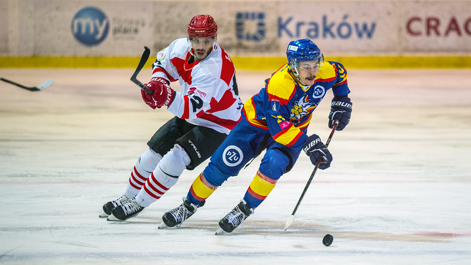 THL: Comarch Cracovia - PZU Podhale Nowy Targ [GALERIA]