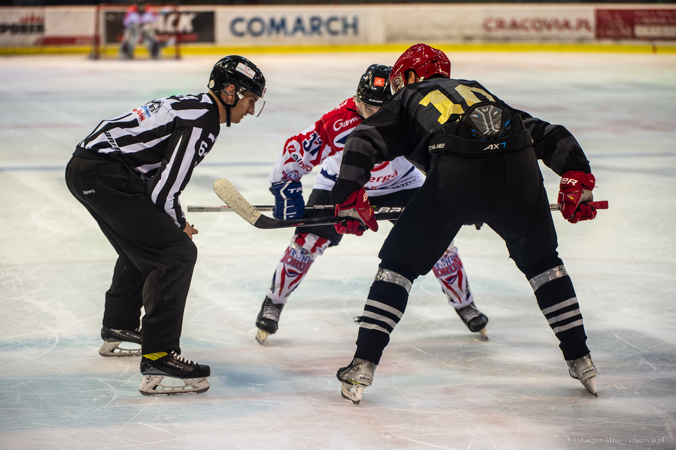 THL: Comarch Cracovia – KH Energa Toruń (8 września, godz. 18:30)