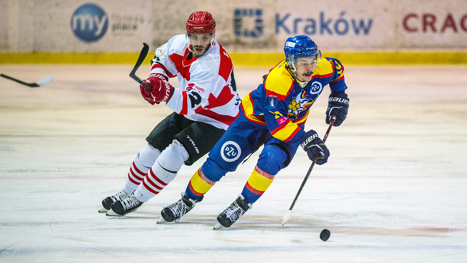THL: Comarch Cracovia – PZU Podhale Nowy Targ, piątek, godz. 18:30 [ZAPOWIEDŹ]