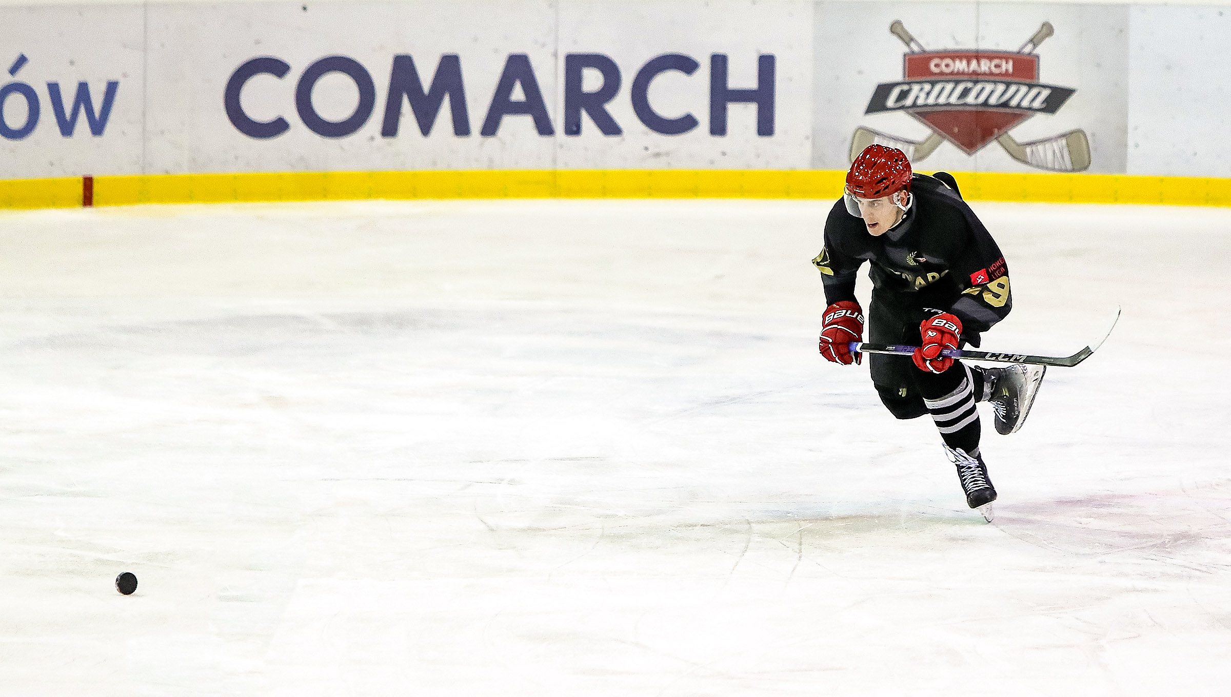 THL: JKH GKS Jastrzębie – Comarch Cracovia [SKRÓT]