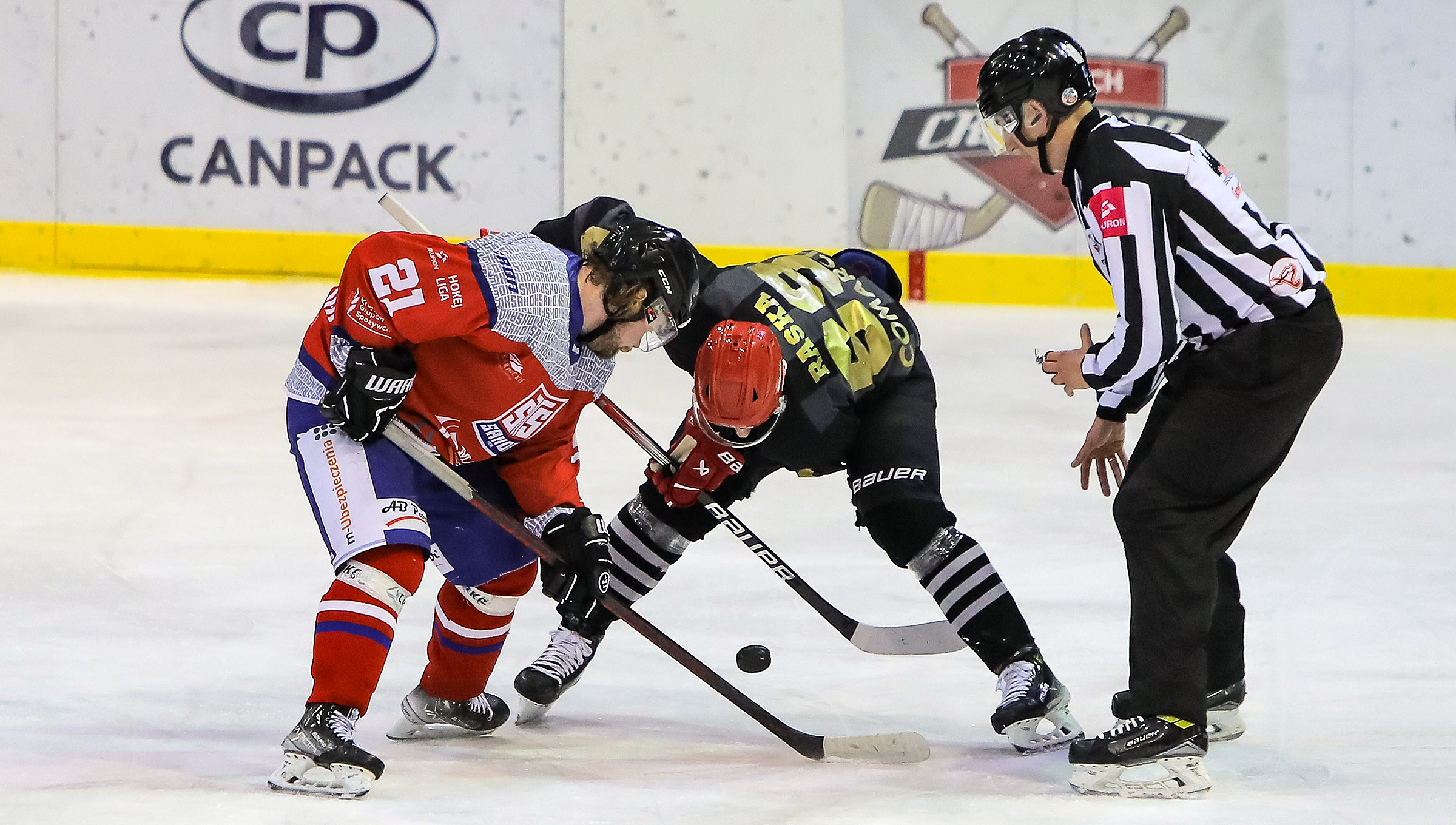 THL: Marma Ciarko STS Sanok – Comarch Cracovia, środa, godz. 18:00 [ZAPOWIEDŹ]