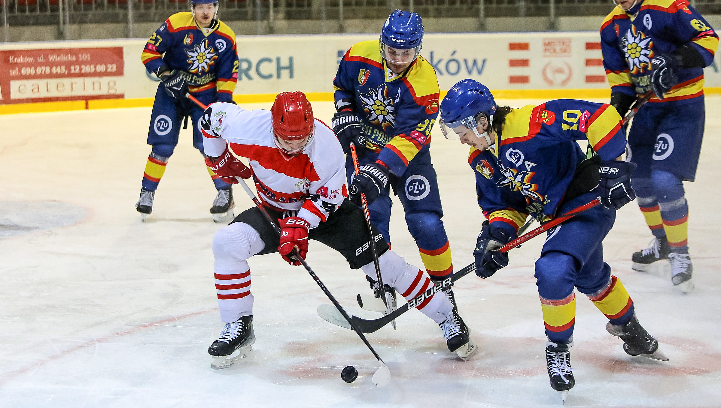 THL: Comarch Cracovia - PZU Podhale Nowy Targ [SKRÓT]