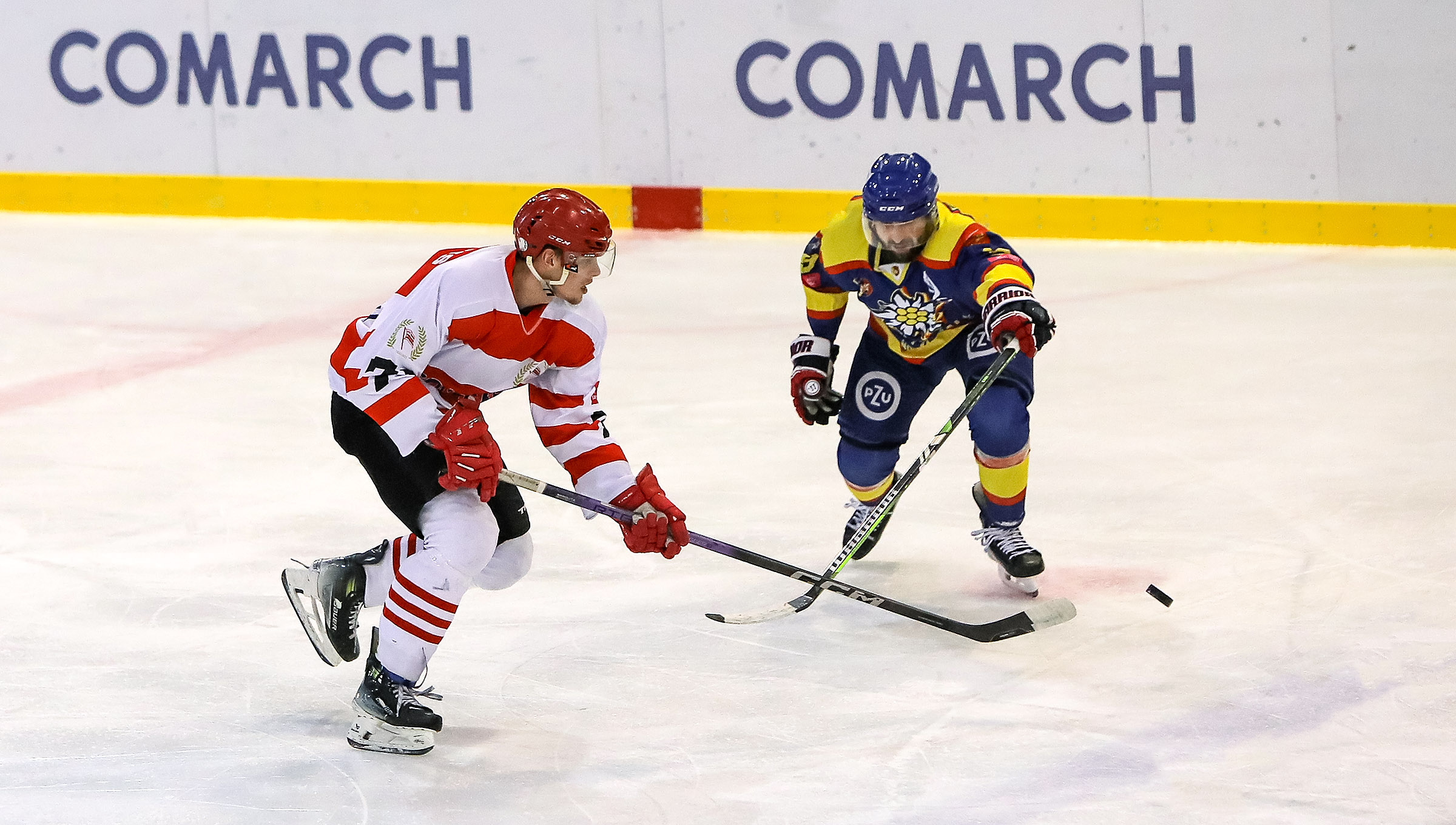 THL: Comarch Cracovia - PZU Podhale Nowy Targ [GALERIA]