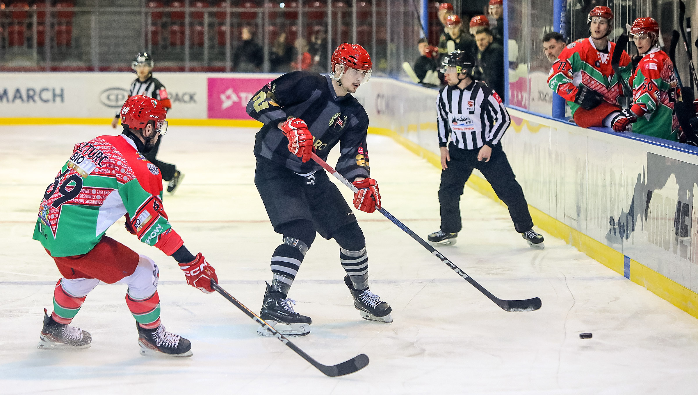 THL: Comarch Cracovia - Zagłębie Sosnowiec [PHOTOS]
